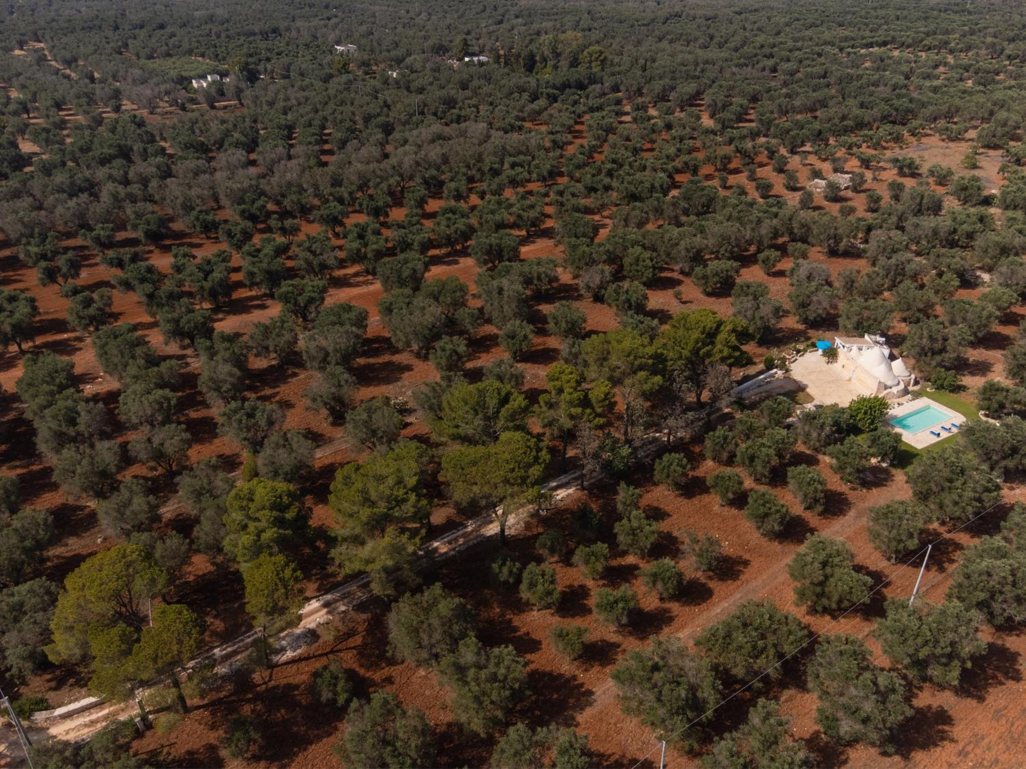 Trullo Tarantini Con Piscina Privata Apartment Latiano Екстериор снимка